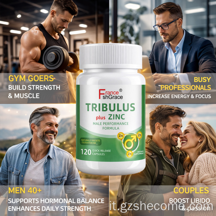 Capsule Shecome Tribulus di alta qualità Assorbimento migliorato